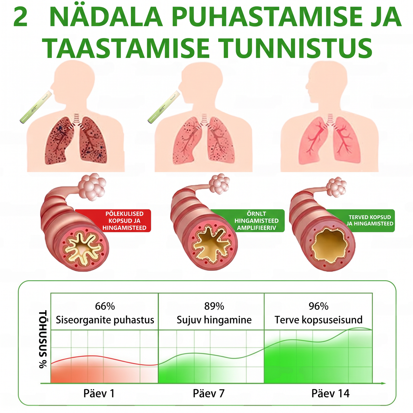 Tipptasemel eesti toode koduse kohaletoimetamisega 🥇 Murwon® taimne aurinhalaator kopsude puhastamiseks 🍍 Tõhus abi köha, kurgupõletiku, hingamisraskuste, lima, nohu, bronhiidi ja allergiate korral ❤️