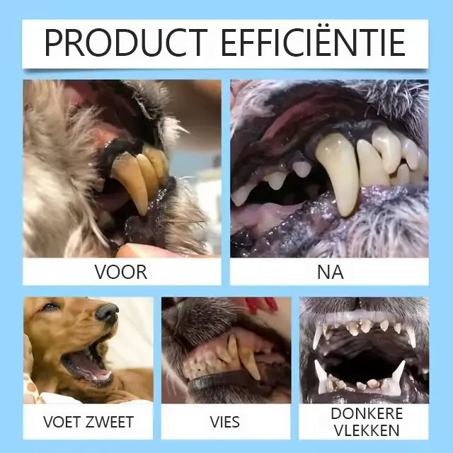 [Officiële Store] 🐶🥇 LERCEA® Orale Vloeistof voor Gebit & Spijsvertering – Tandreiniging, frissere adem, verwijdert tandplak, ondersteunt de regeneratie van tandvlees🐈 (voor katten & honden)