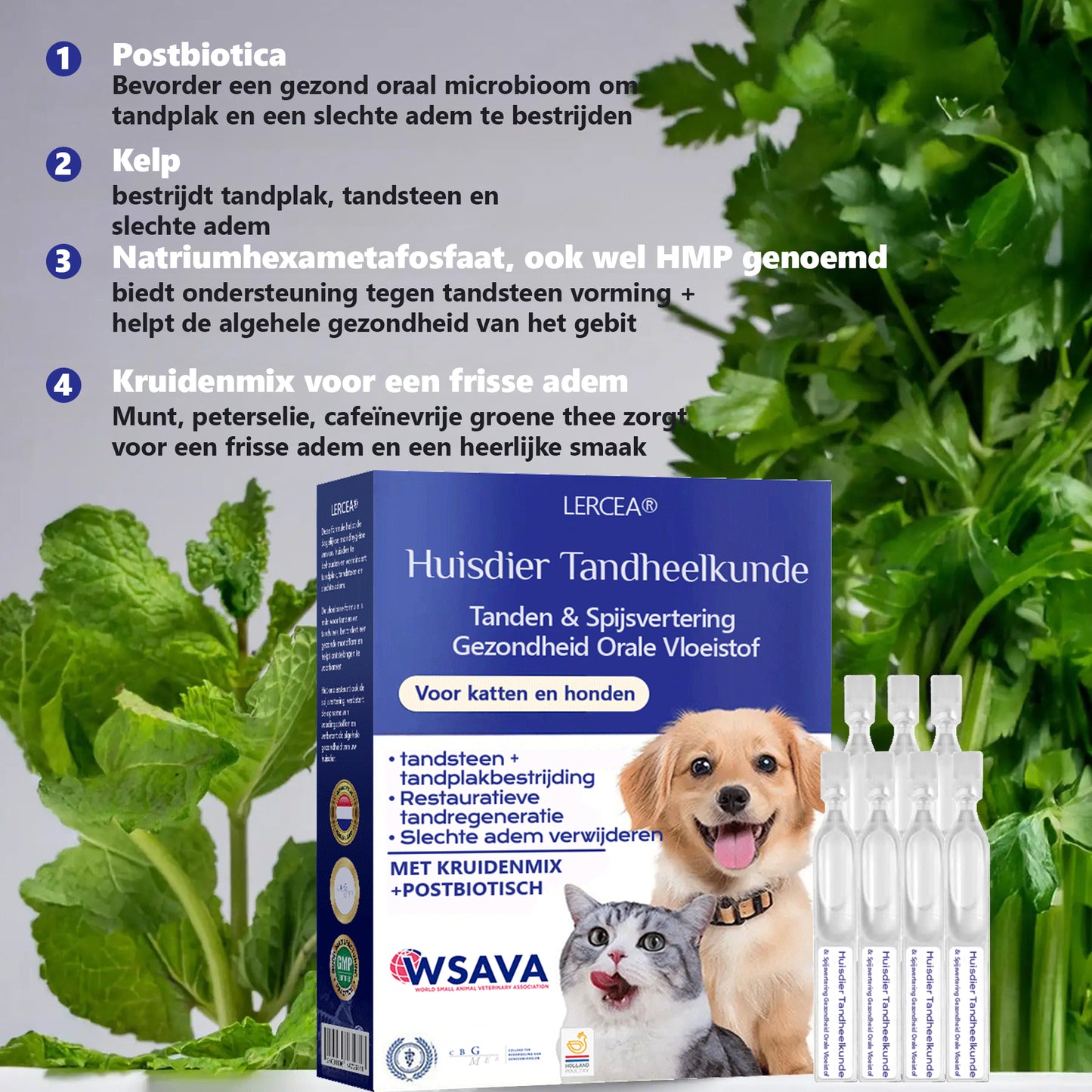 [Officiële Store] 🐶🥇 LERCEA® Orale Vloeistof voor Gebit & Spijsvertering – Tandreiniging, frissere adem, verwijdert tandplak, ondersteunt de regeneratie van tandvlees🐈 (voor katten & honden)