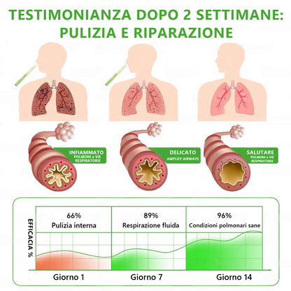 Offerta a tempo limitato: 30% di sconto sul secondo articolo! 🔥 𝑀𝑢𝑟𝑤𝗈𝗇® 𝑫𝒊𝒇𝒇𝒖𝒔𝒐𝒓𝒆 𝒃𝒐𝒕𝒂𝒏𝒊𝒄𝒐 𝒅𝒊 𝒗𝒆𝒓𝒃𝒂𝒔𝒄𝒐 𝒑𝒆𝒓 𝒍𝒂 𝒑𝒖𝒍𝒊𝒛𝒊𝒂 𝒅𝒆𝒊 𝒑𝒐𝒍𝒎𝒐𝒏𝒊